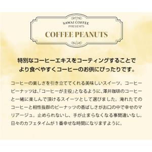 澤井珈琲 コーヒー ピーナッツ 100g 1袋...の詳細画像3