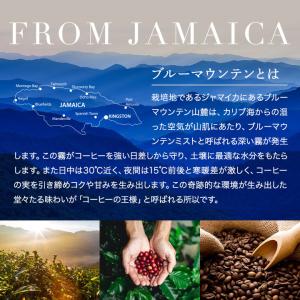 爆買 ドリップバッグ コーヒー 30杯分 ブル...の詳細画像2