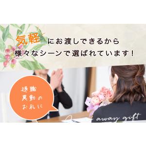 コーヒーギフト 澤井珈琲 コーヒー 珈琲 ドリ...の詳細画像4