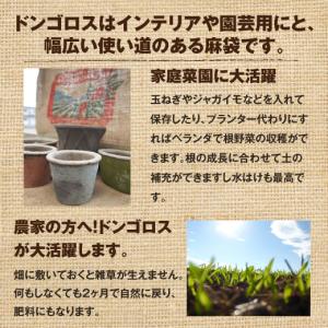 コーヒー豆 ガーデニング 澤井珈琲 生豆が入っ...の詳細画像2