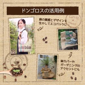 コーヒー豆 ガーデニング 澤井珈琲 生豆が入っ...の詳細画像3