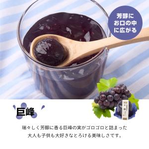 国産果肉ジュレ 単品 ※冷凍便不可 【RD】 ...の詳細画像2