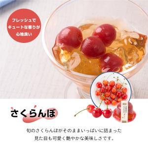 国産果肉ジュレ 単品 ※冷凍便不可 【RD】 ...の詳細画像3