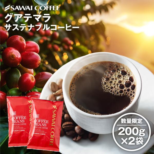 コーヒー 豆 粉 香り良くすっと飲める 澤井珈琲 グアテマラ サステナブルコーヒー 200g×2袋 ...