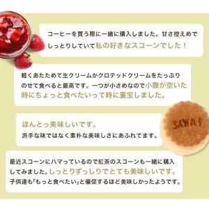 澤井珈琲 スコーン スイーツ コーヒー紅茶専門...の詳細画像3