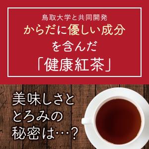 内祝い 紅茶 パウダー 健康食品 ギフト お試...の詳細画像4