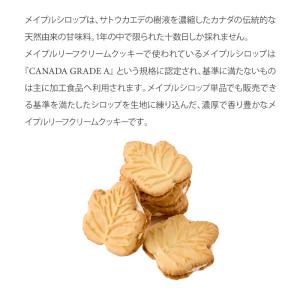 内祝い テイストデライト メイプルリーフクリー...の詳細画像2
