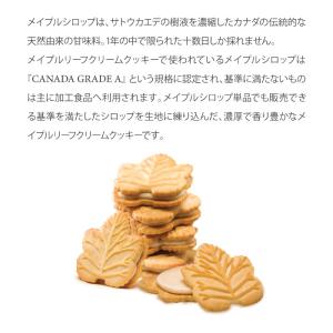 澤井珈琲 テイストデライト メイプルリーフクリ...の詳細画像3