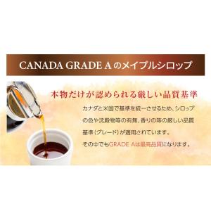 澤井珈琲 テイストデライト メイプルリーフクリ...の詳細画像4