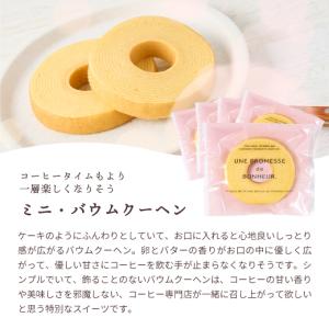 焼菓子 スイーツ スイーツセット お菓子 ミニ...の詳細画像2