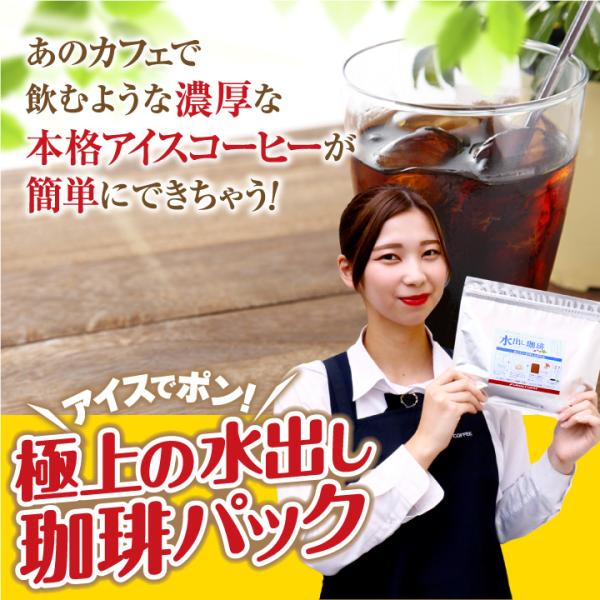 アイスコーヒー 水出しコーヒー コーヒー コールドブリュー アイスでポン 水出し珈琲パック 5袋入り...