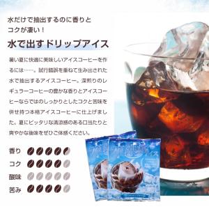 1000円ポッキリ 夏限定 ドリップバッグ 福...の詳細画像4