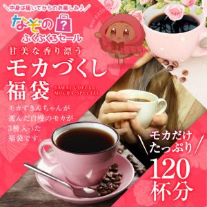 コーヒー 珈琲 福袋 コーヒー豆 珈琲豆  送料無料 中身は届いてからのお楽しみ モカ づくし 120杯 分 福袋 グルメ