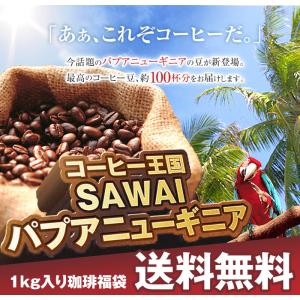 コーヒー 珈琲 コーヒー豆 珈琲豆 専門店 の 100杯分 入り 焼きたて パプアニューギニア 福袋 グルメ 【RD】 【TS】