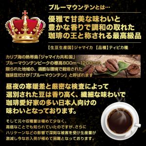 コーヒー 珈琲 コーヒー豆 珈琲豆 最高級 プ...の詳細画像4