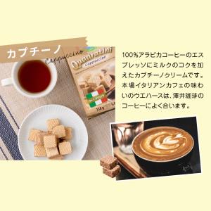 ロアカー クワドラティーニ 110g ウエハー...の詳細画像2