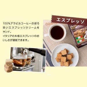ロアカー クワドラティーニ 110g ウエハー...の詳細画像3