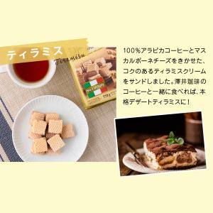 ロアカー クワドラティーニ 110g ウエハー...の詳細画像4