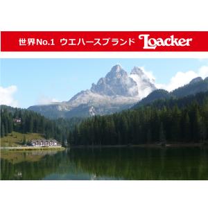 ロアカー クワドラティーニ 110g ウエハー...の詳細画像5