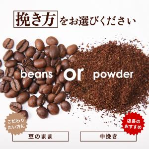 焙煎したて コーヒー 豆 粉 1.6kg お試...の詳細画像4