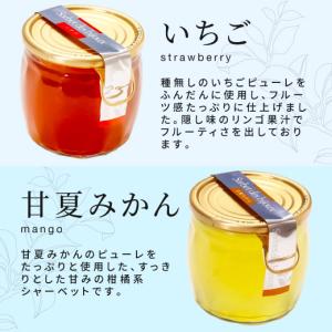 ソルベ・デ・ビジュー 6個 セット 箱入り ス...の詳細画像3