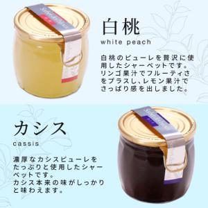 ソルベ・デ・ビジュー 6個 セット 箱入り ス...の詳細画像4