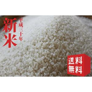 京都丹波日吉産「イセヒカリ」玄米5kg 送料無料