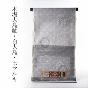 愛加那絣/芭蕉染 復元 本場奄美大島紬 草木泥染/手織 9マルキ/九