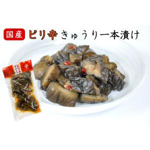 ピリ辛きゅうり一本漬 国産 漬物 醤油漬け 胡瓜...の商品画像