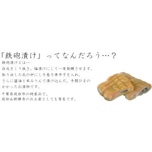 【1本入り・濃い口】瓜の手作り鉄砲漬1本入り ...の詳細画像4