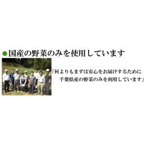 【1本入り・濃い口】瓜の手作り鉄砲漬1本入り ...の詳細画像5