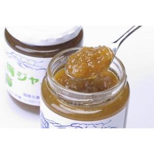 沢屋 梅ジャム Rサイズ(270g)の詳細画像1