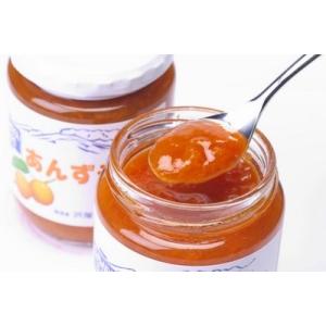 沢屋 あんずジャム Mサイズ(510g)の詳細画像1