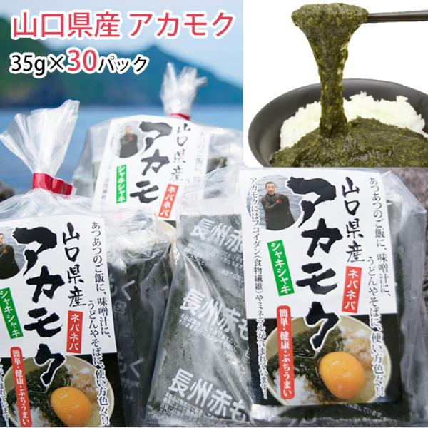 アカモク 山口県産「まいにちアカモク」35g×30パックセット 無添加 新友商店　あかもく アカモク...