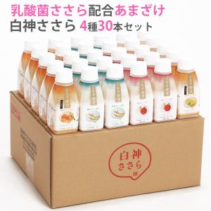 乳酸菌 甘酒 米麹 無添加 白神ささら150g 4種 30本セット（プレーン×9、秋田県産りんご味×7、大分県産ゆず味×7、愛媛県産みかん味×7） 白神手作り工房｜sawayasouhonten