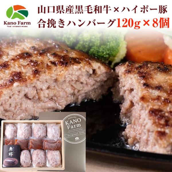 山口県産 黒毛和牛と鹿野ファームの豚肉の 合挽きハンバーグ 120g×8個 鹿野ファーム 四元豚 ハ...