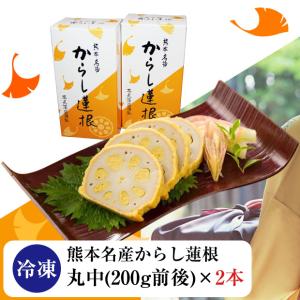 熊本名産 からし蓮根 冷凍 2本入り 高見商店 のし対応可