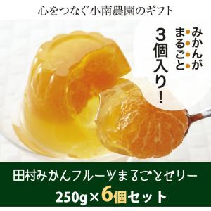 田村みかんフルーツまるごとゼリーセット 250g×6個 小南農園 のし対応可｜sawayasouhonten