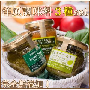 洋風調味料3種 各2本(バジルぺースト、青じそペースト、ドライトマトペースト)(信州味噌)(ナチュラルビーンズ) のし対応可｜sawayasouhonten