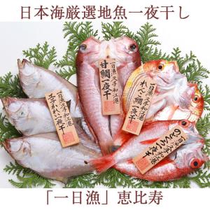 日本海厳選地魚一夜干「一日漁」恵比寿(えびす)のどぐ...