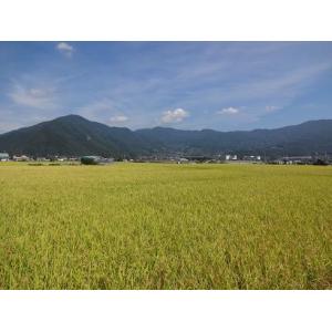 平成29年産 長野県産コシヒカリ玄米30KG/精米27KG ...