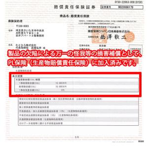 【箱なし】スチール チェーンソー 替刃 63P...の詳細画像3