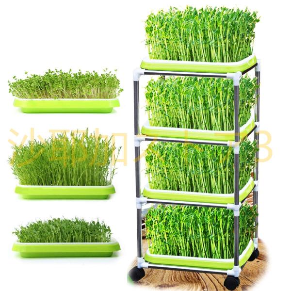 種子スプラウトトレー もやし栽培容器 もやし育成 自宅もやし栽培 もやし家庭菜園 スプラウト栽培4層...