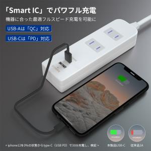 USB type-C 電源タップ 延長コード ...の詳細画像1