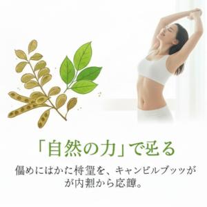 ダイエット茶 3袋 黒烏龍茶 キャンドルブッシ...の詳細画像5