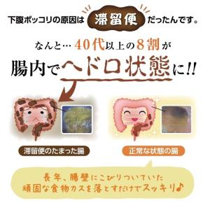 ダイエット 茶 キャンドルブッシュ グレープフ...の詳細画像3