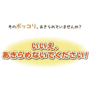 ダイエット 茶 キャンドルブッシュ グレープフ...の詳細画像4