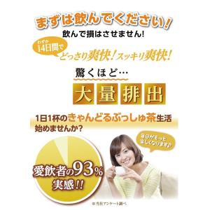 ダイエット 茶 キャンドルブッシュ グレープフ...の詳細画像5
