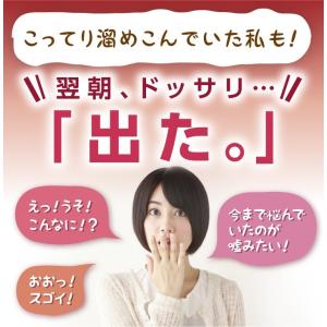 ダイエット 茶 キャンドルブッシュ ラズベリー...の詳細画像4