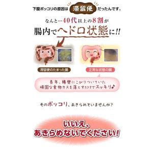 ダイエット 茶 キャンドルブッシュ ラズベリー...の詳細画像3